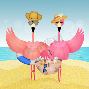 沙滩上的粉色火烈鸟