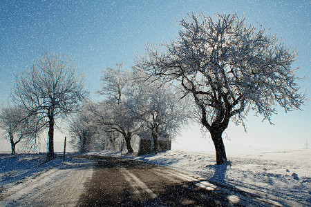 恩和摄影照片_“有雪、阳光和蓝天的冬景”