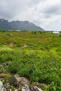 美丽的斯堪的纳维亚风景，有草地、山脉和村庄