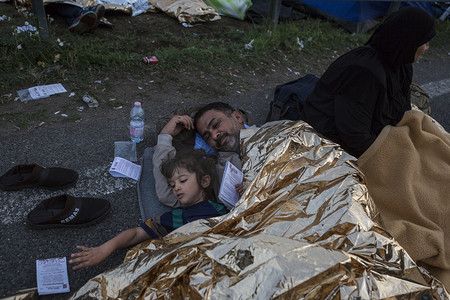 塞尔维亚-匈牙利-难民