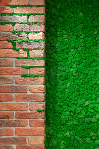 漂亮装饰摄影照片_有装饰绿色青苔的砖墙