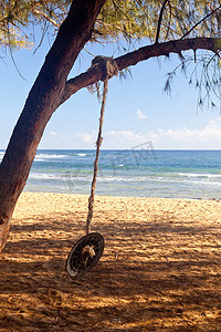海边沙滩上的绳索秋千