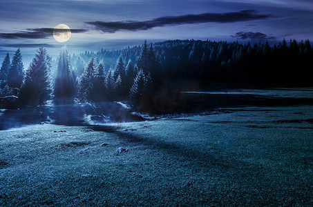 森林夜摄影照片_雾夜草地上的森林