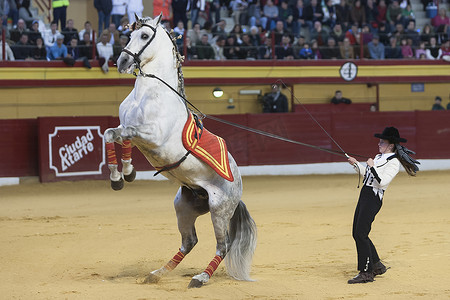 西班牙格拉纳达省阿塔费纯种西班牙古典盛装舞步马展中的女孩