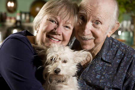 老年夫妇与狗的肖像