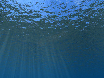 海洋元素摄影照片_水下