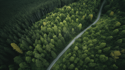 杭州鸟瞰摄影照片_一条蜿蜒穿过森林的道路的鸟瞰