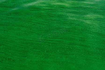 绿藻水波纹背景