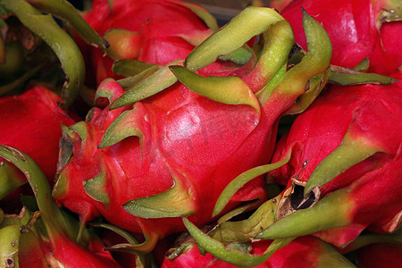 红色成熟的火龙果或火龙果龙果特写