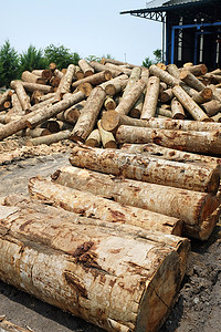 胶合板厂里的一堆木材原木