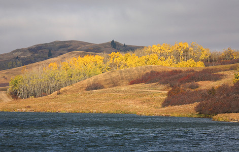 秋天卡通摄影照片_Reesor 阿尔伯塔湖在秋天