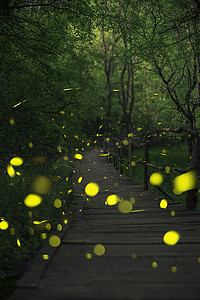 童话森林里的萤火虫。