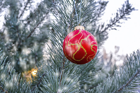 新年太阳摄影照片_森林里圣诞树的树枝上挂着新年舞会