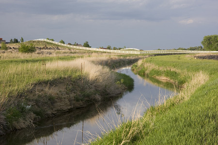 灌溉沟渠、绿色草地和牧场