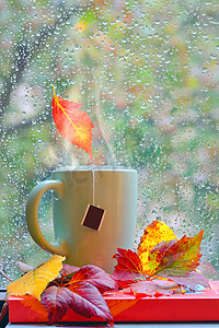秋雨窗用热茶