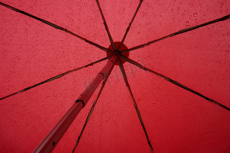 在我的雨伞下