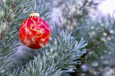 新年太阳摄影照片_森林里圣诞树的树枝上挂着新年舞会