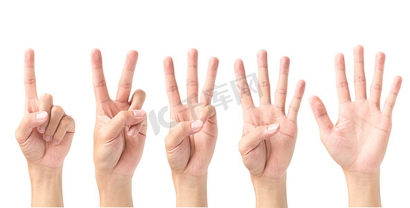 一组数字 1 2 3 4 5 与白色背景上孤立的手势