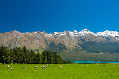 相约新西兰摄影照片_新西兰山脉