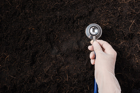 研究人员在肥沃的黑土上拿着听诊器的手