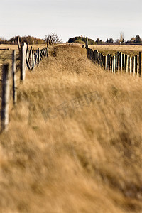农场小径和围栏