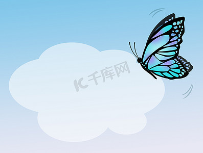蓝色蝴蝶翅膀摄影照片_蓝色蝴蝶的插图