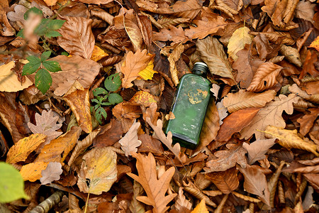 秋天彩绘树叶中的旧酒瓶