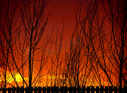 日落围栏和树剪影