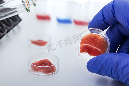 在实验室条件下从干细胞培养的肉