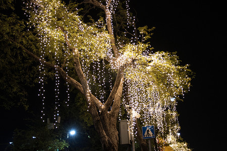 花园里挂在树上的装饰性户外串灯