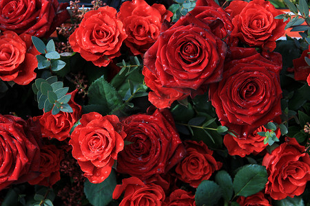 鲜花布置摄影照片_插花中的红玫瑰