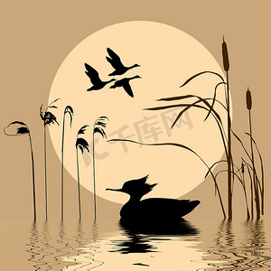卡通鸭子摄影照片_湖上鸟类的矢量剪影
