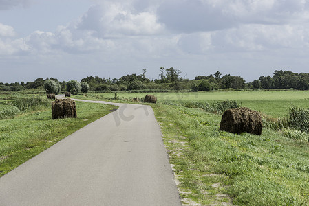荷兰绿色田野中的干草捆