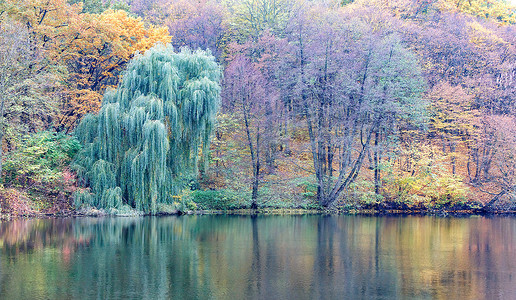 秋季公园和森林湖的柔和色彩。