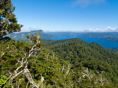 风景秀丽的 Urewera NP 和新西兰的怀卡里莫阿纳湖
