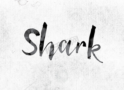 用墨水画的鲨鱼概念