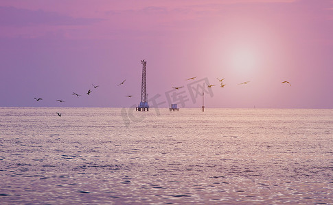 甜水面摄影照片_粉红色的日落天空与起重机在水面上与鸟