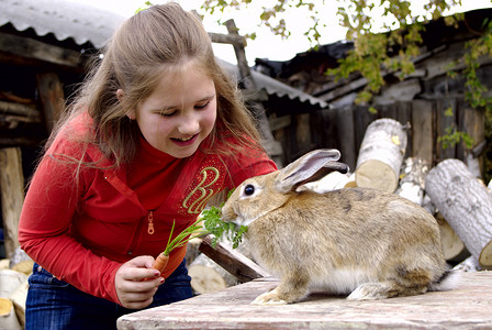 女孩用胡萝卜喂兔子