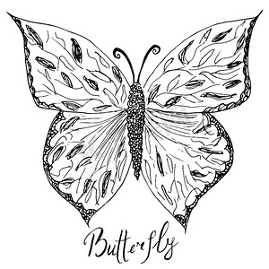 蝴蝶抽象装饰手绘草图。
