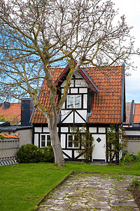 瑞典哥特兰维斯比市的老房子