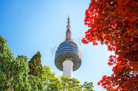 首尔建筑摄影照片_首尔塔和韩国南山的红秋枫叶。