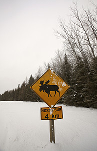 驼鹿穿越警告标志
