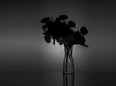 带背光的深色背景上带花的透明花瓶