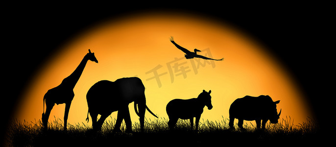 夕阳背景下的非洲动物剪影