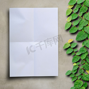 在水泥墙上的空白的白皮书有常春藤固定的攀登的树b
