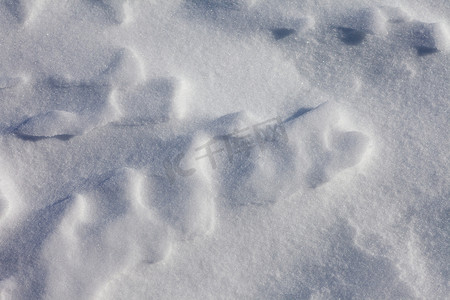 雪面全帧背景纹理图案