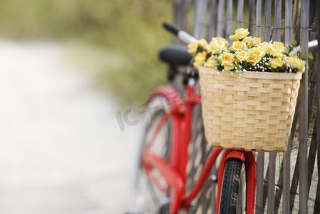 花运输摄影照片_有花的自行车。