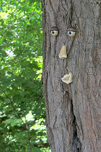 鼻子摄影照片_有脸的树
