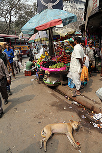 买水果摄影照片_加尔各答的水果市场
