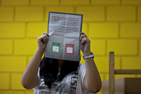 玻利维亚 - 全民公投 - 宪法
